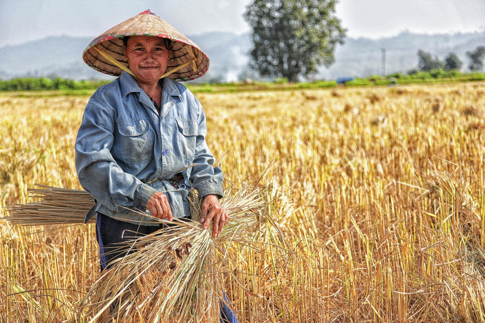 Farming B2B Platform